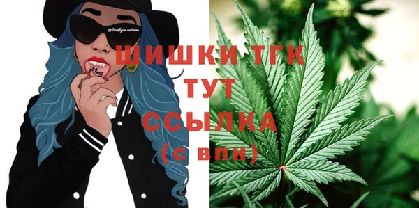 гидра Магас