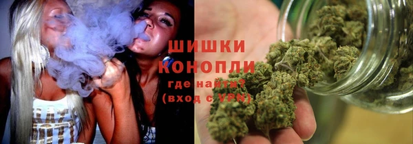 гидра Магас