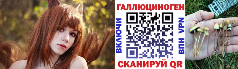 Псилоцибиновые грибы прущие грибы Нововоронеж