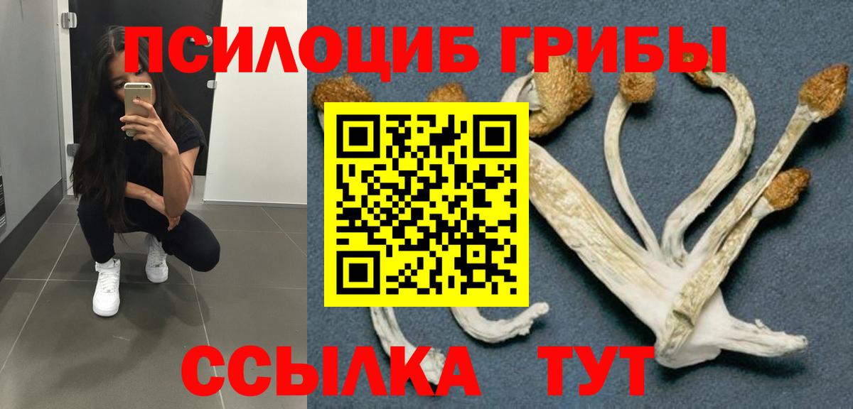 Псилоцибиновые грибы мицелий  наркотики  Галлюциногенные грибы ЛСД  Нововоронеж 