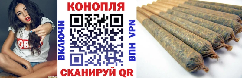 Бошки марихуана планчик  Нововоронеж 